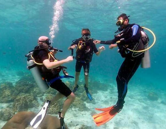 Hurghada: Diving Tour with Lunch & Two Dive Sites