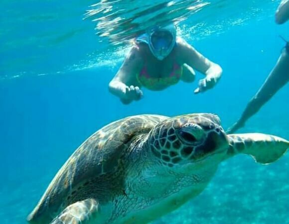 From Hurghada: Abu Dabbab Snorkeling Trip & Swimming with Turtles