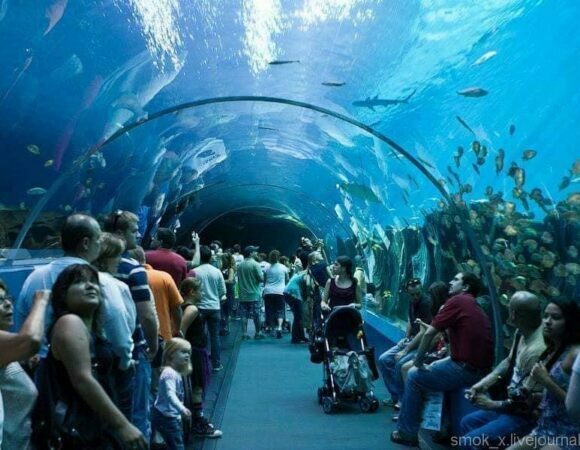 Hurghada: Grand Aquarium