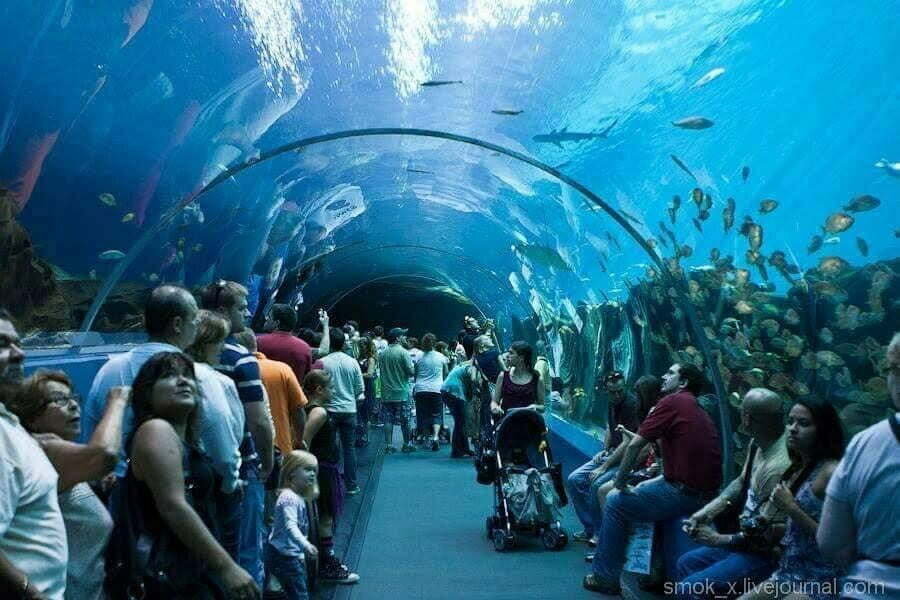 Hurghada: Grand Aquarium