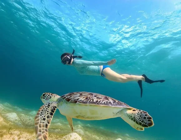 Abu Dabbab Marsa Alam