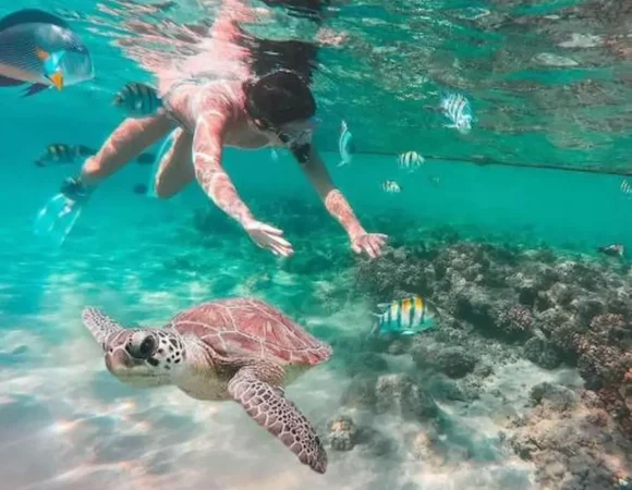 Abu Dabbab Marsa Alam tour from Hurghada