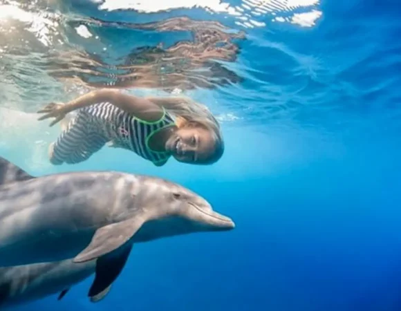 Dolphin House boat trip Hurghada