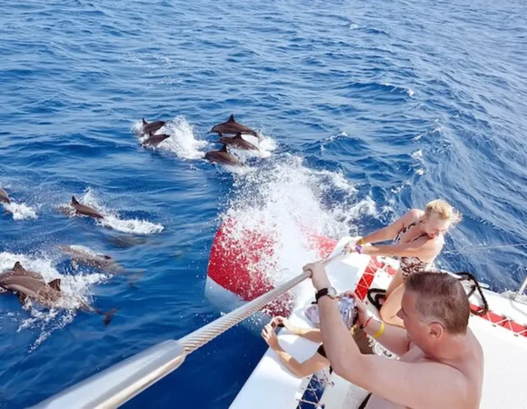 Dolphin House snorkeling