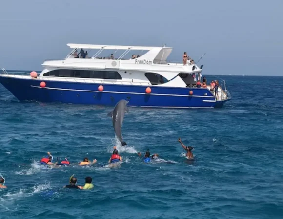 Dolphin tour Hurghada
