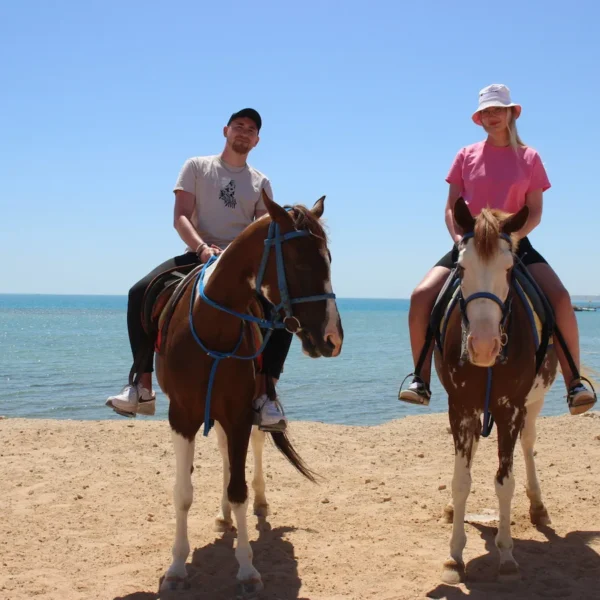 Horseback Riding Hurghada - 2-Hour Desert & Sea Swim Experience