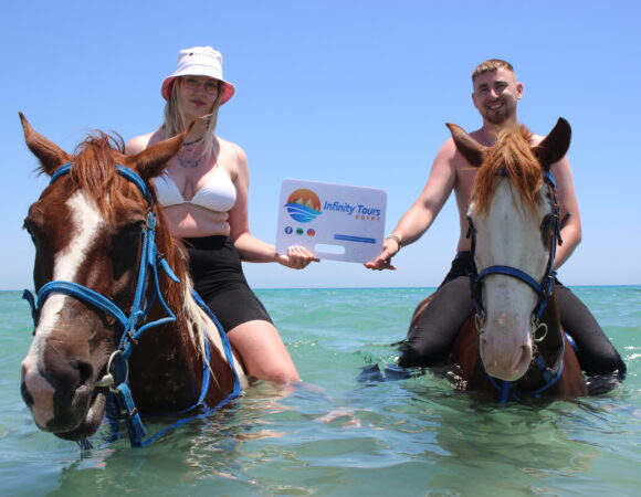 Hurghada: Horseback Riding - Sea & Desert with private transfer