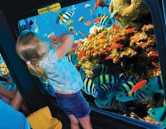 Royal Seascope Hurghada price