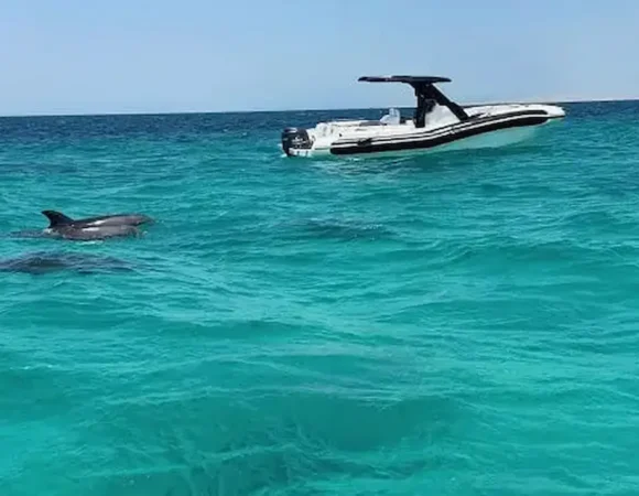 bullet speed boats Hurghada