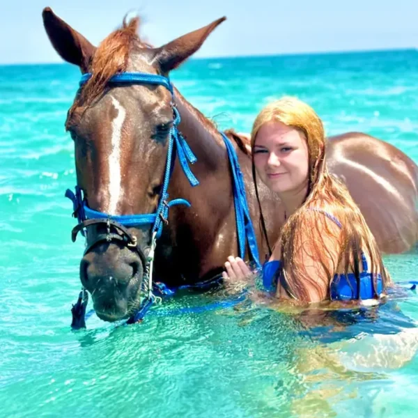 Horseback Riding Hurghada - 2-Hour Desert & Sea Swim Experience