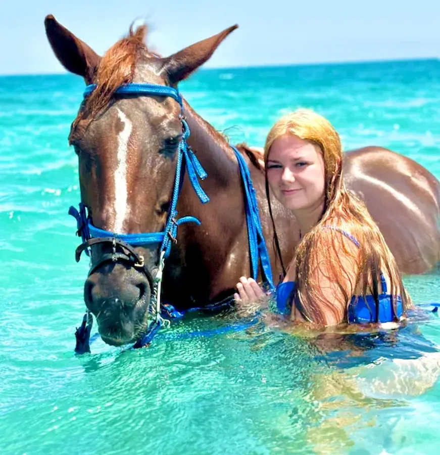 Horseback Riding Hurghada - 2-Hour Desert & Sea Swim Experience