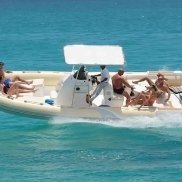 Private Speedboat Hurghada: Dolphin Watching & White Island Escape