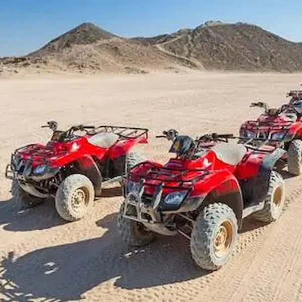 Safari Marsa Alam - Quad Bike, Camel Ride, Dinner & Show - 5 Hours