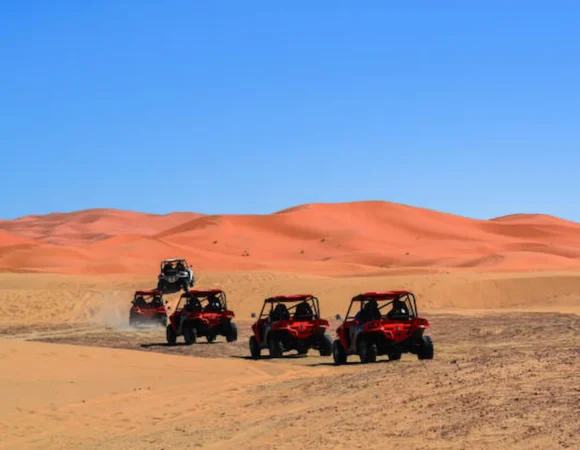 Buggy Sharm 12