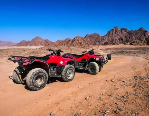 Camel Ride Sharm el Sheikh 1