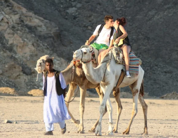 Camel Ride Sharm el Sheikh 2
