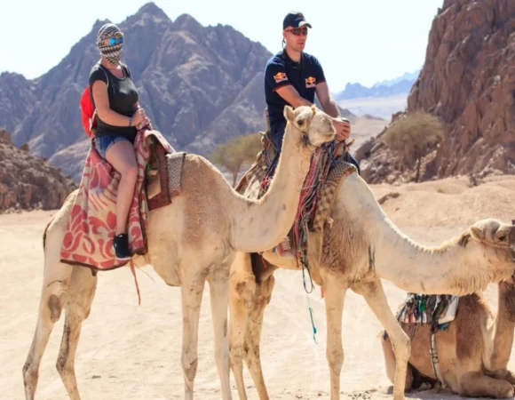 Camel Ride Sharm el Sheikh, ATV Quad Safari & Bedouin Village Tour