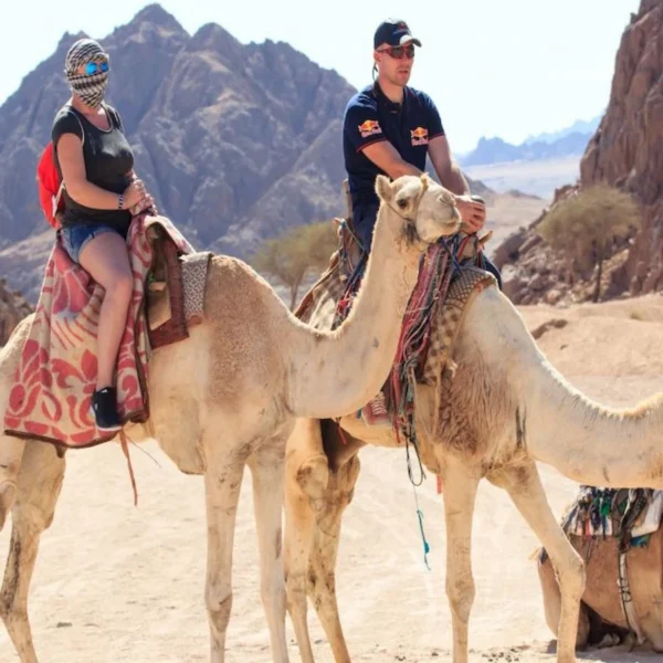 Camel Ride Sharm el Sheikh, ATV Quad Safari & Bedouin Village Tour