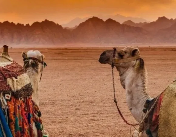 Sharm el Sheikh ATV Safari 1