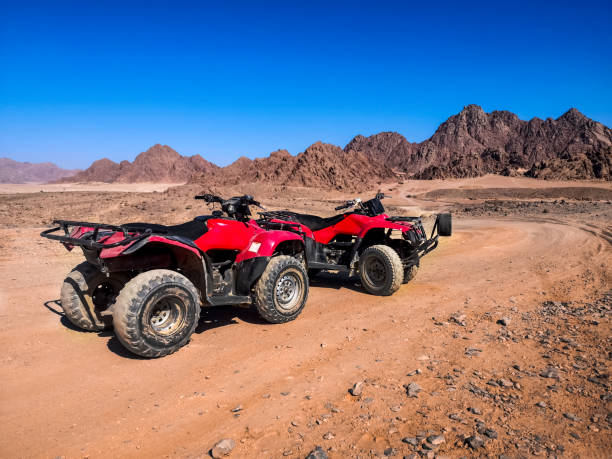 Sharm El Sheik: ATV Quad Safari, Camel Ride & Bedouin Village Tour