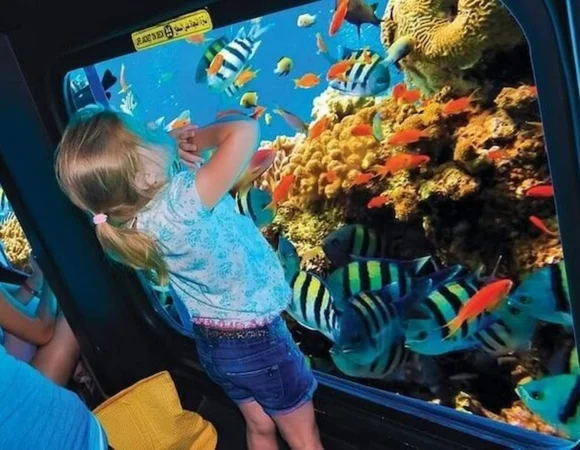 Royal Seascope Marsa Alam 6