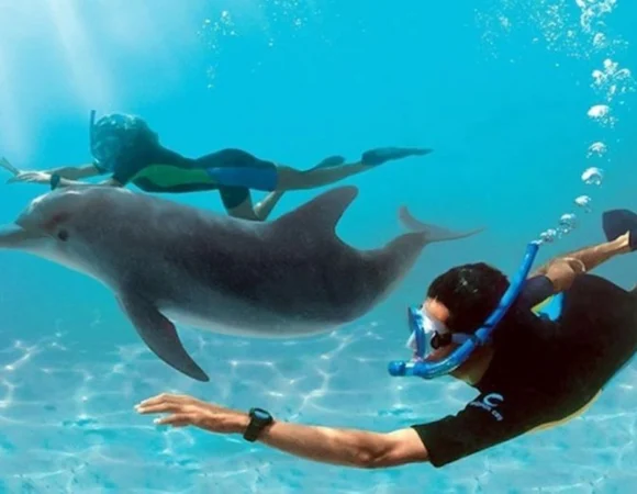 Sataya Reef Marsa Alam 3