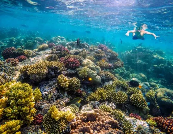 Nefertari Marsa Alam 3