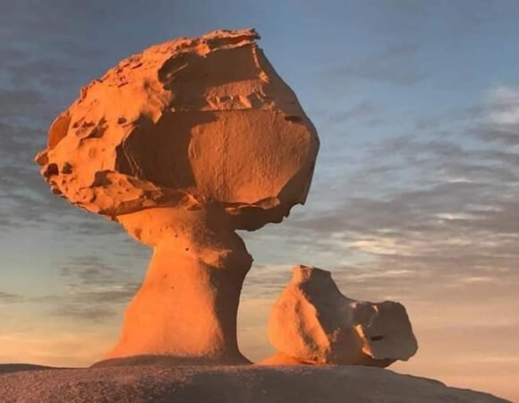 Bahariya Oasis And White Desert