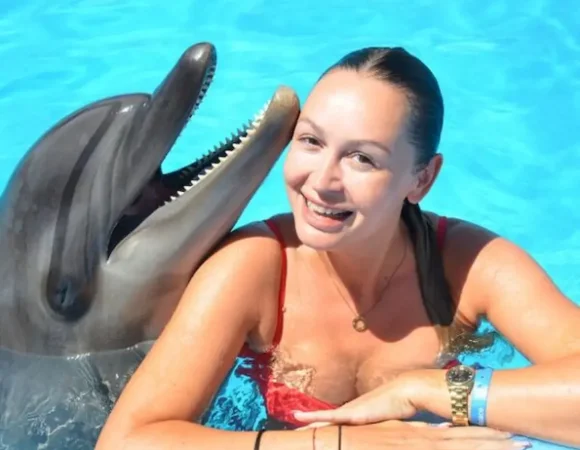 Swimming with Dolphins in Hurghada Private Dolphin Swim Egypt