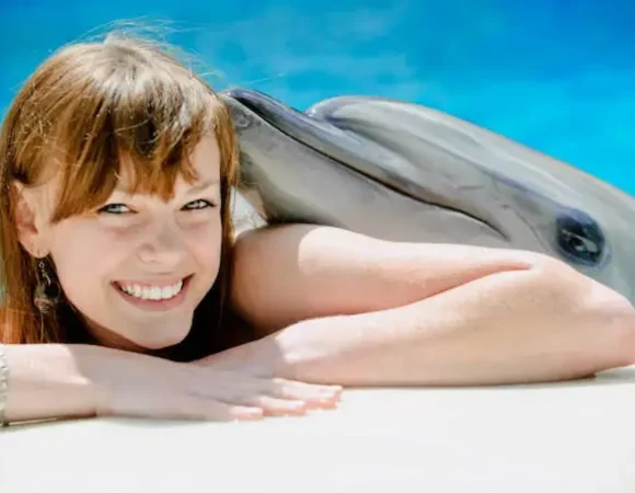 swim with dolphins Hurghada Egypt