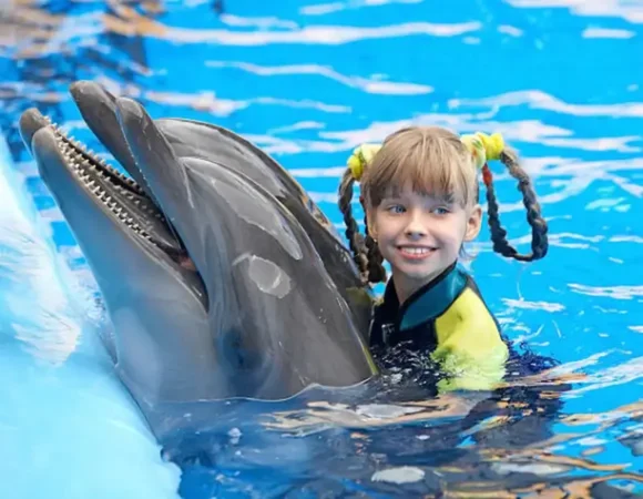 swimming with Dolphins