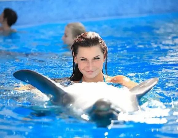 swimming with Dolphins Hurghada