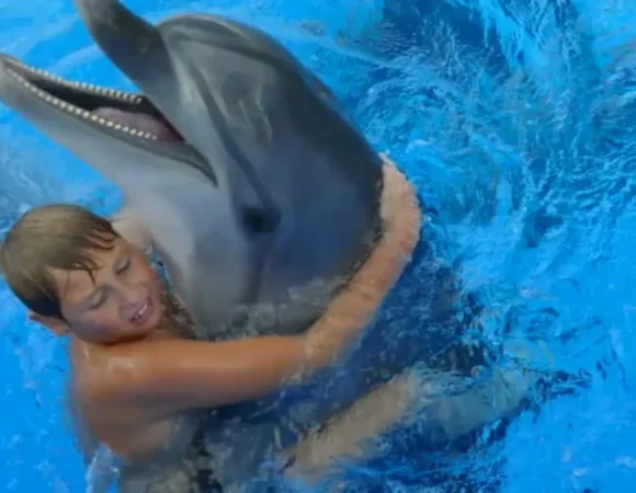 swimming with Dolphins in Hurghada