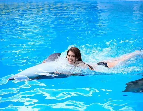 swimming with Dolphins in Hurghada trip