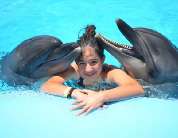 swimming with dolphins in Egypt