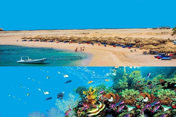 From Hurghada: Sharm El Naga bay Snorkeling Trip with Lunch