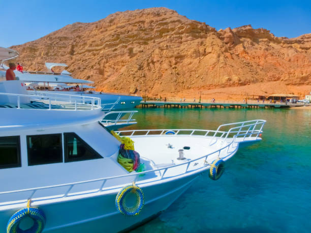 Sharm El Sheikh: Ras Mohamed & White Island - Snorkeling Trip