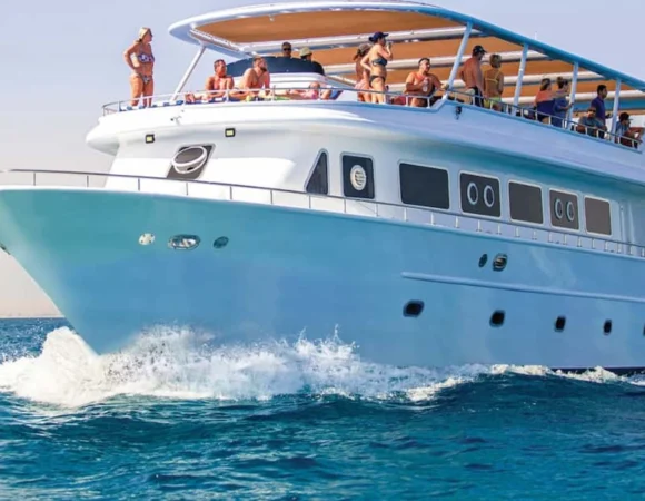 Ras Mohamed Sharm el Sheikh 9