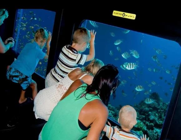 Glass Boat Sharm el Sheikh 4