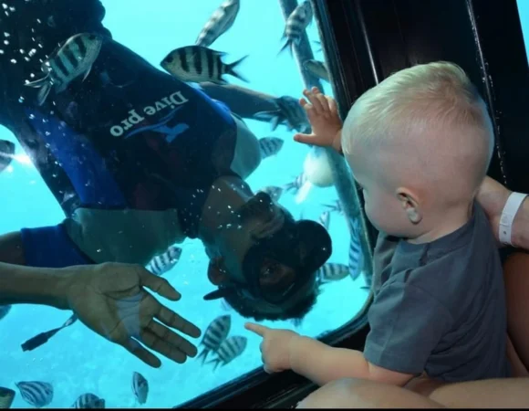 SeaScope Sharm el Sheikh 9