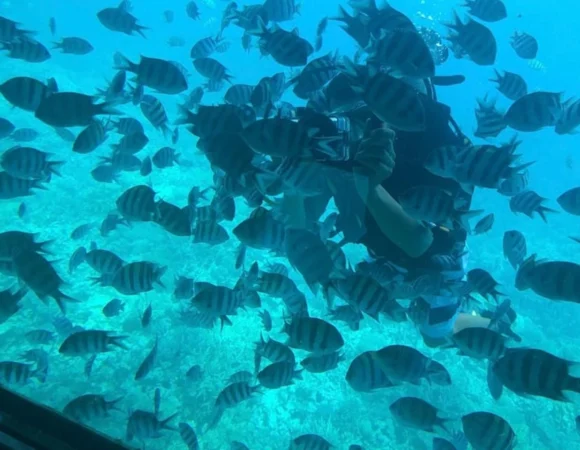 Semi Submarine Sharm el Sheikh 7