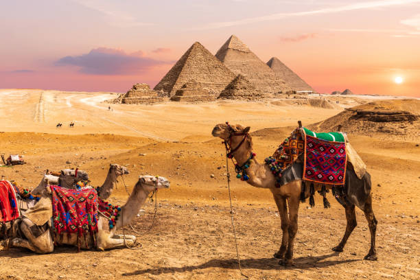 Ab Hurghada: Kairo-Tagestour zu den Pyramiden mit dem Bus