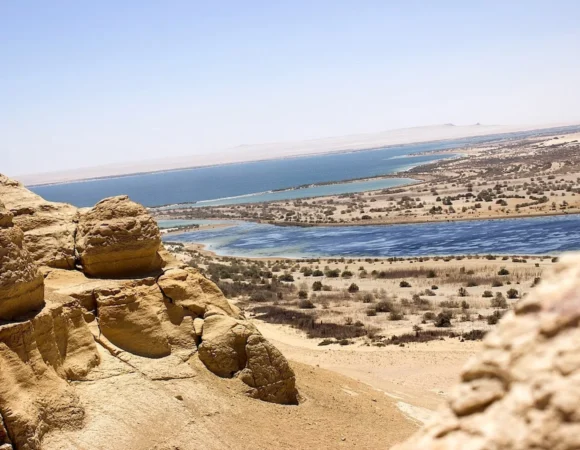 Fayoum Oasis Tour - Private Fayoum Oasis Tour from Cairo