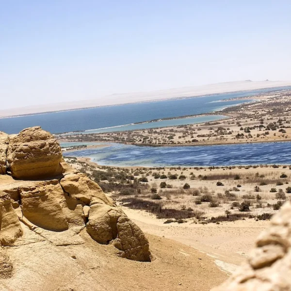 Fayoum Oasis Tour - Private Fayoum Oasis Tour from Cairo