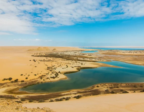 Fayoum Oasis Tour 4