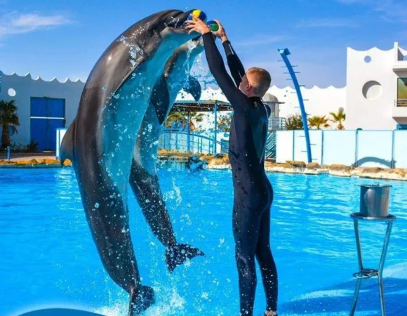 Dolphin Park Sharm El Sheikh 6
