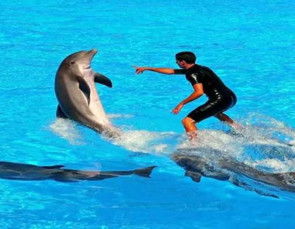 Dolphin Park Sharm El Sheikh 9