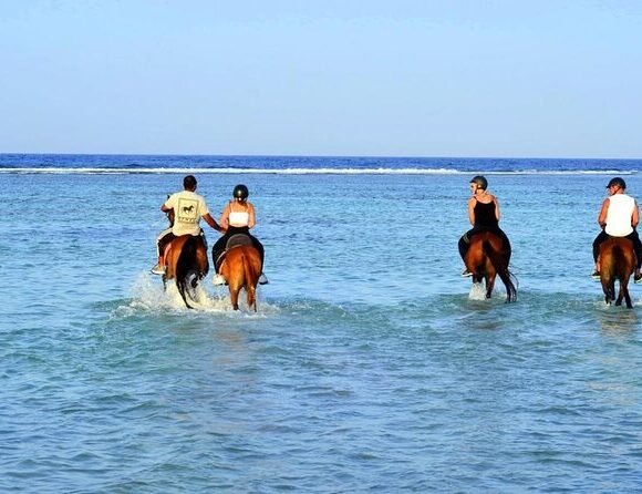 horseback riding Marsa Alam Egypt