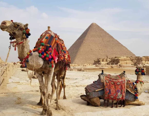 Pyramids and Sphinx Tour 8