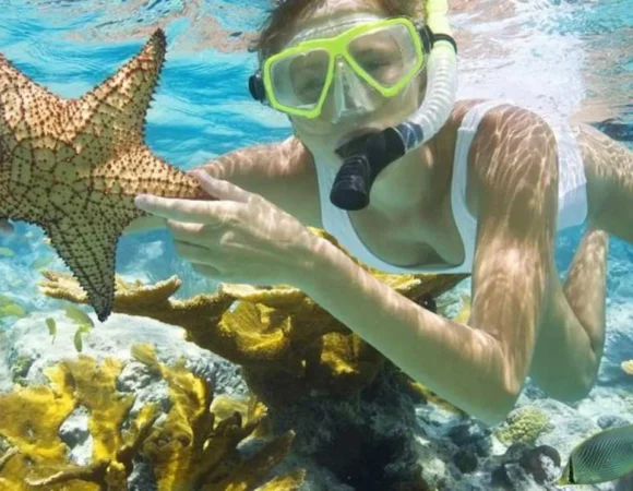 Tiran Island Snorkeling 4